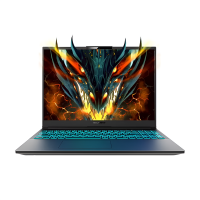 Ноутбук 16 Mechrevo Dragon 16K AMD Ryzen 5 7445H / 16Gb / NVMe 512Gb / IPS / 165Hz / RTX4050 6Gb / DOS