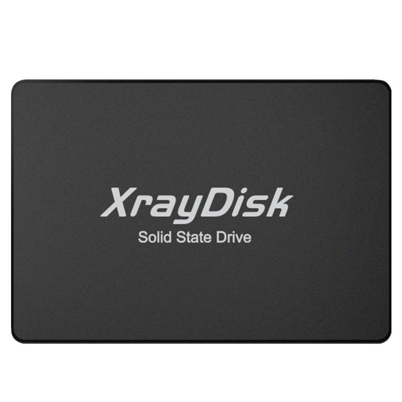 SSD 256 Gb XrayDisk PA10641K0256