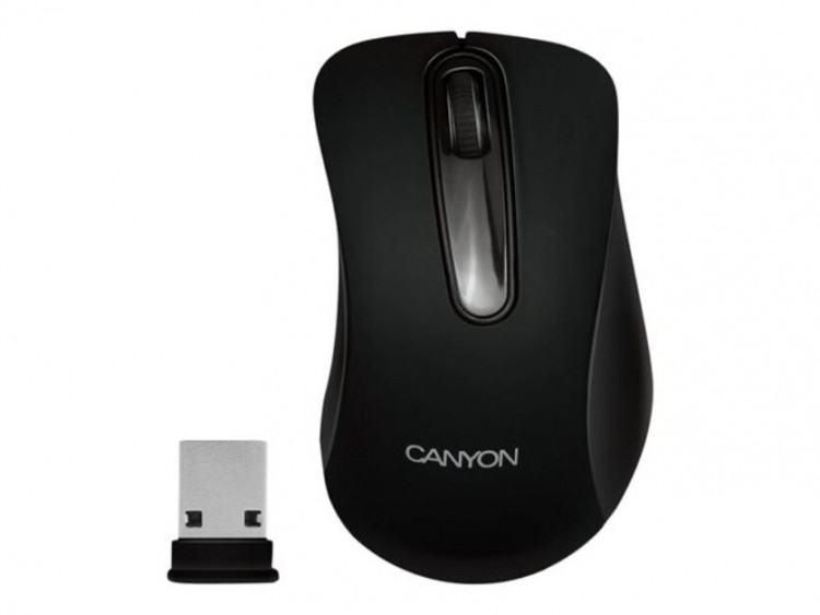 Мышь беспроводная USB CANYON CNE-CMSW11