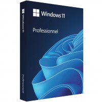 Microsoft Windows 11 Professional, BOX USB pack